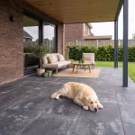 Golden retriever ligt op overdekt terras van Season Claude Dusk tegels 60x60x4