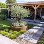 Tuin met olijfboom in cortenstalen bak en Soft Comfort Grezzo tegelpad door grind