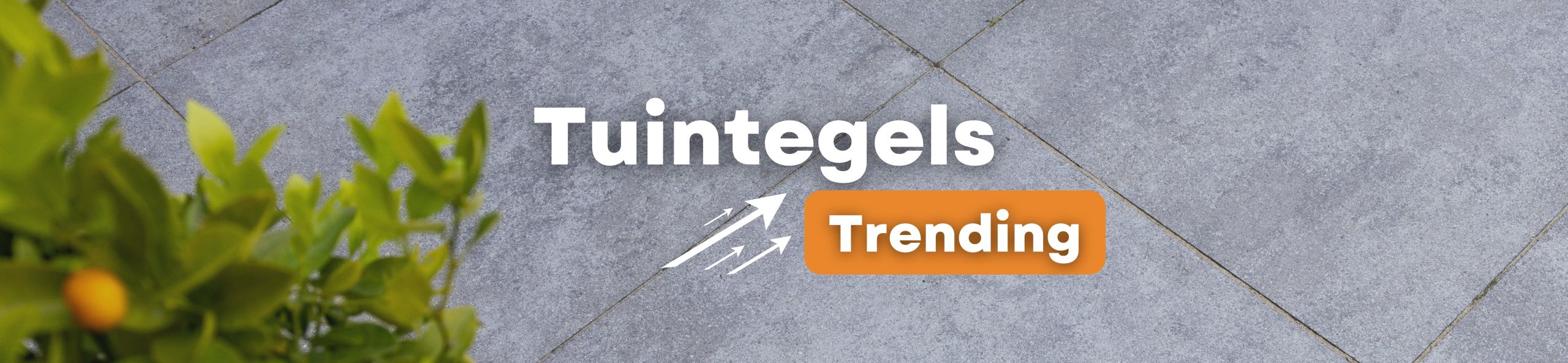 Trending Tuintegels