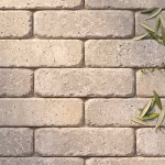 Close-up van getrommelde WG Stone Trommelsteen 20x5x7 in warme taupe tint met olijftak