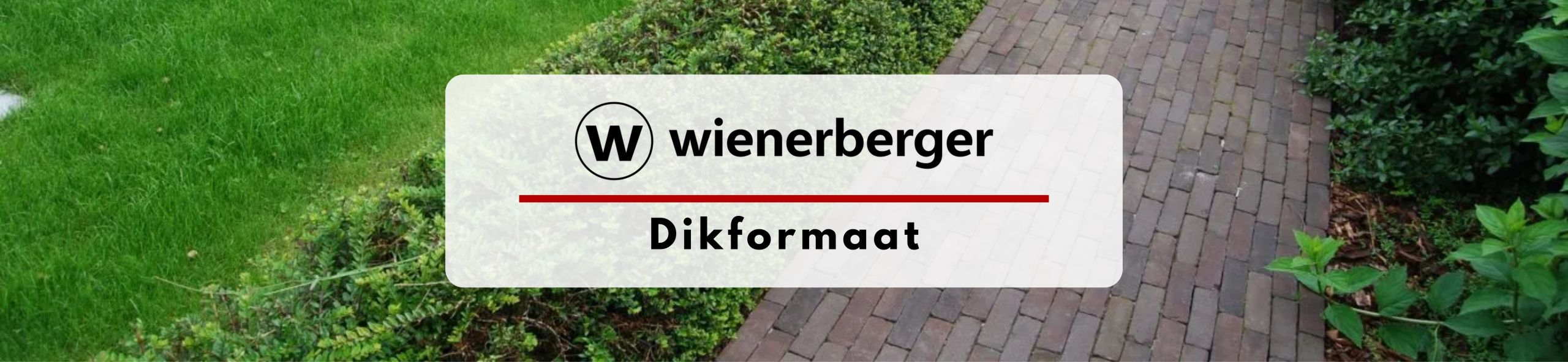 Wienerberger Dikformaat