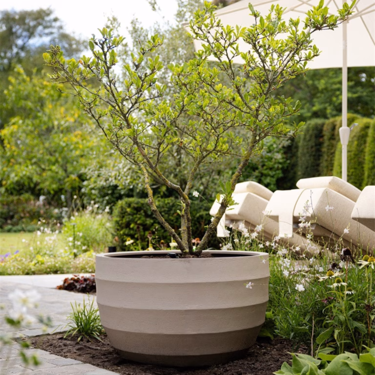 Bordo New Egg Pot Low 80 Sand