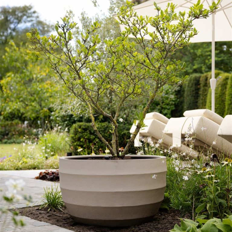 Bordo New Egg Pot Low 80 Sand