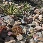 Grauwacke 100-300 mm Gaasbox 900 KG Redsun-5