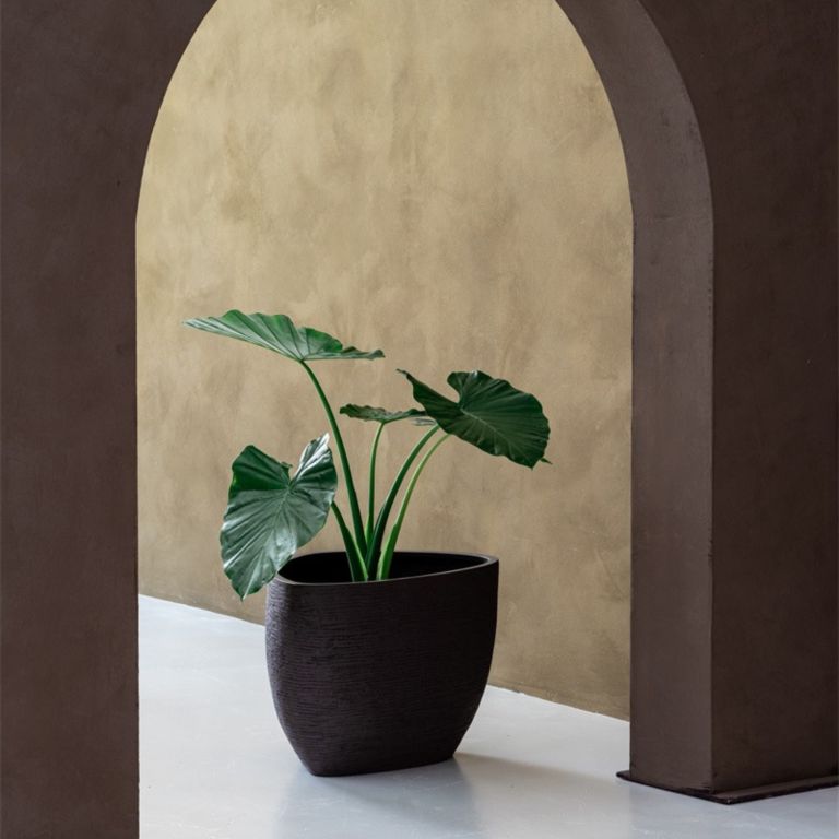 Ruvido Organic 93 Earth-2