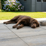 Season Claude 60x60x4 Flintino