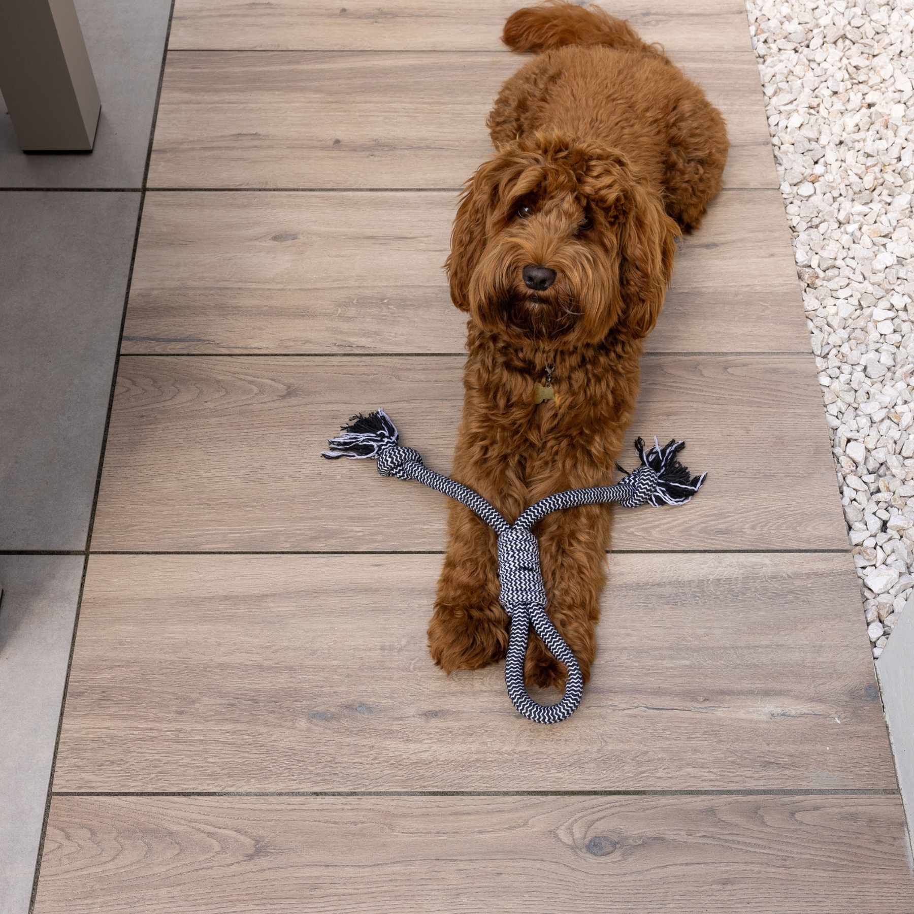 Keramische tegels in houtlook buiten met hond