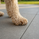 KeraQuattro+ 60x60 Willow Ash