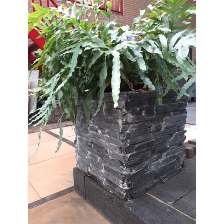 Supreme Slate Bloembak Recht 50x50x50