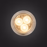 In Lite Flux 12V RVS