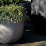 Terreno Balloon Clay