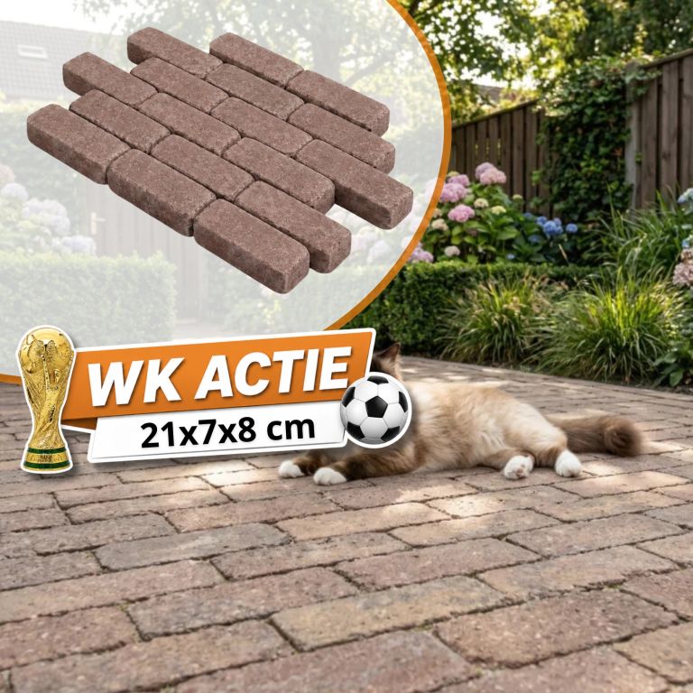 WK Deal - WG Stone Trommelsteen 21x7x8 Bruin