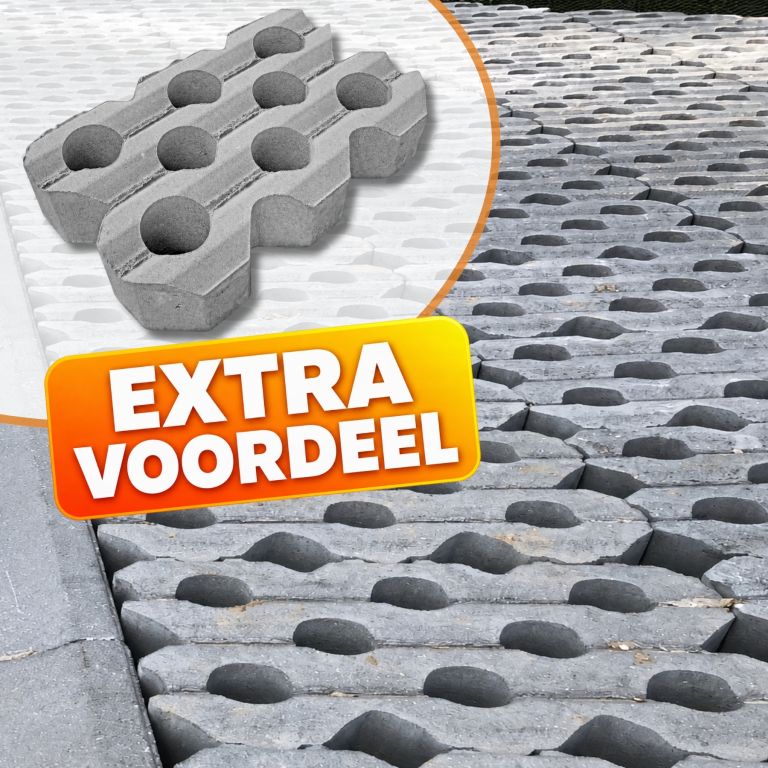 EXTRA VOORDEEL - Grasbetontegel 40x60x10 Ronde gaten