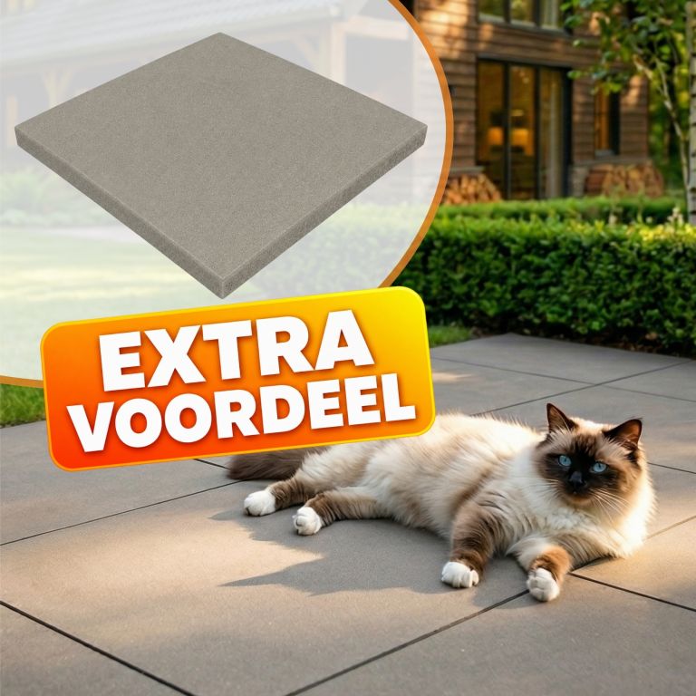 EXTRA VOORDEEL - PromoStone 60x60x4 Grijs