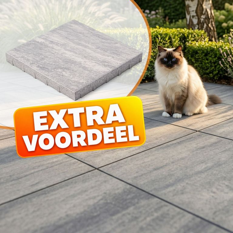 EXTRA VOORDEEL - Terrastegel 60x60x4 cm Venetian Stone Light