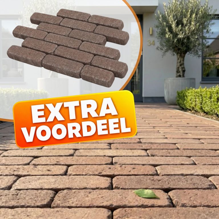 EXTRA VOORDEEL - WG Stone Trommelsteen 20x5x7 Bruin