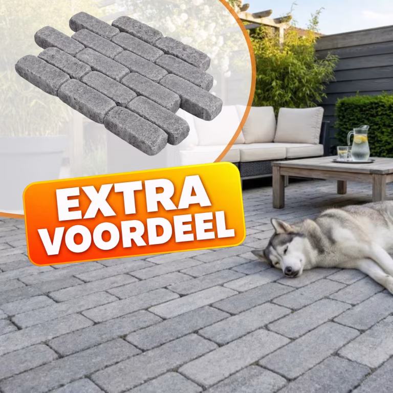 EXTRA VOORDEEL - WG Stone Trommelsteen 21x7x8 Grijs