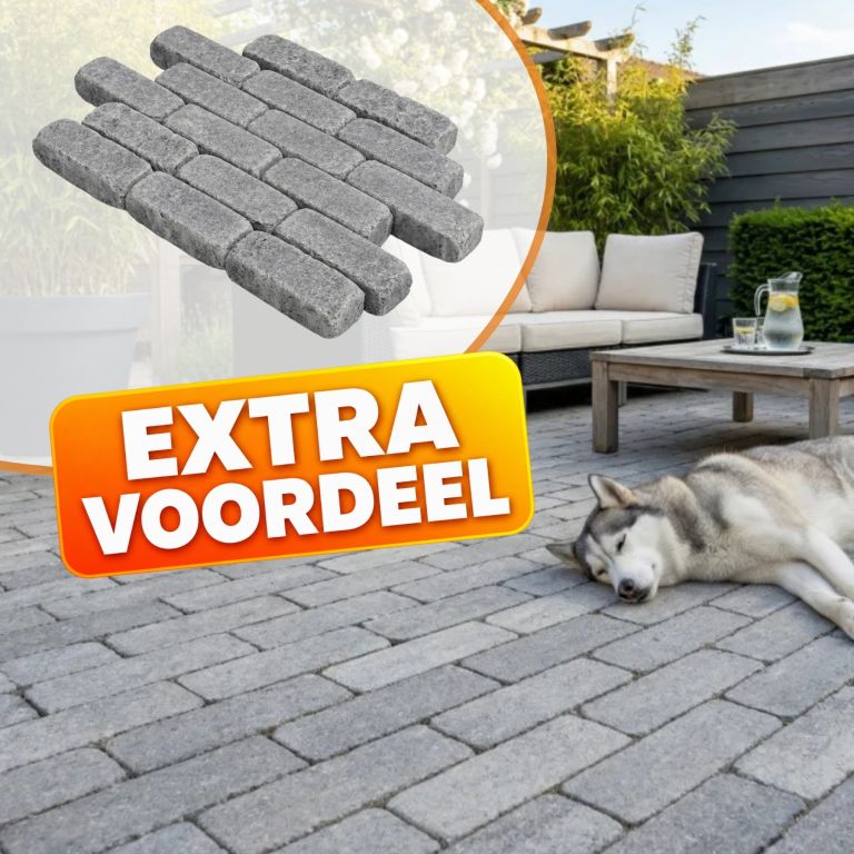 EXTRA VOORDEEL - WG Stone Trommelsteen 21x7x8 Grijs