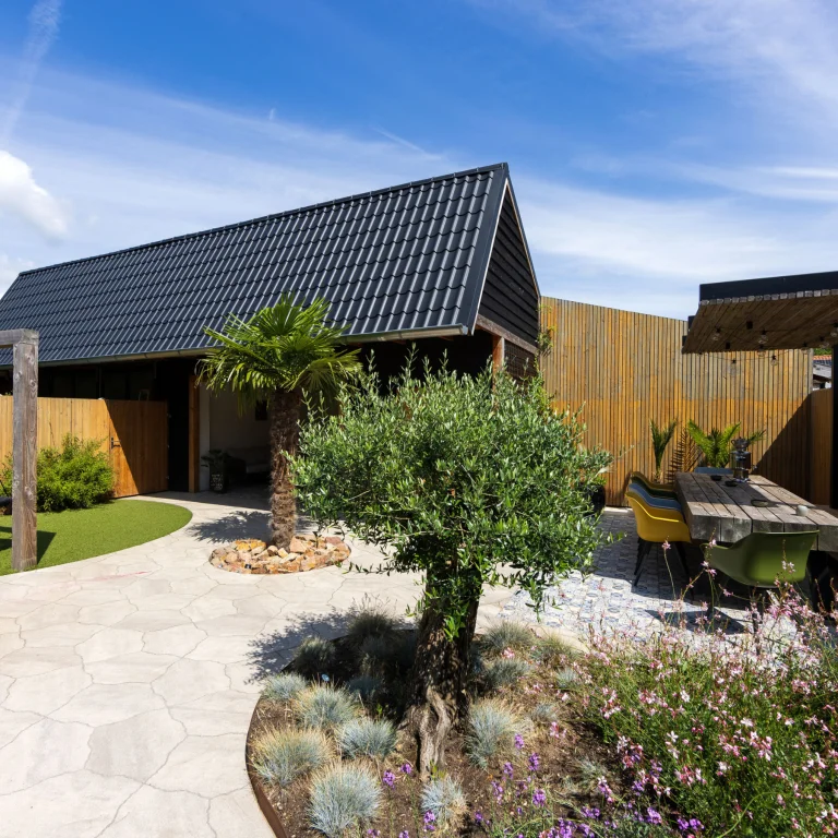 GeoArdesia Alvio Lazise