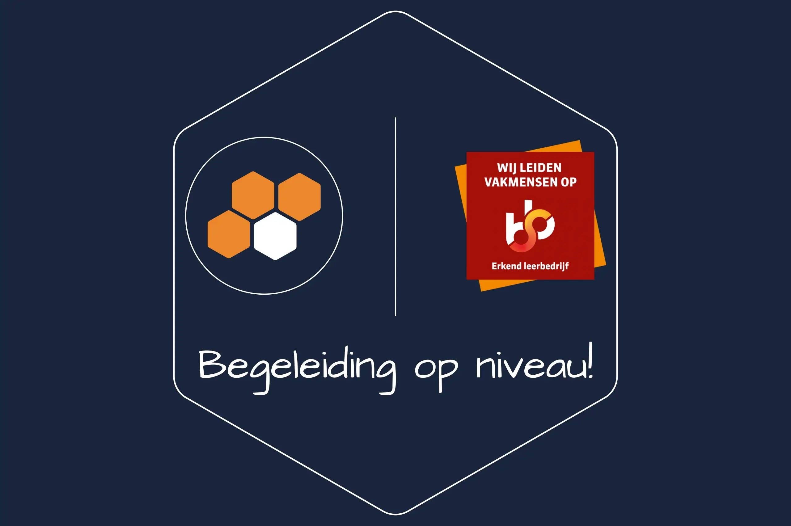 begeleiding op niveau